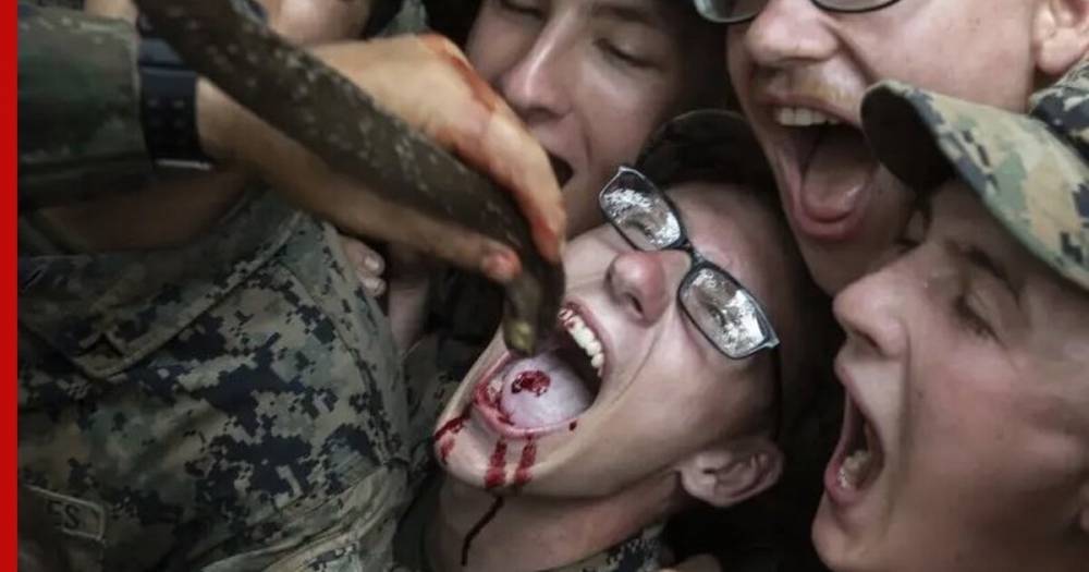 Американских морпехов призвали перестать есть пауков и пить змеиную кровь - profile.ru - США - Таиланд