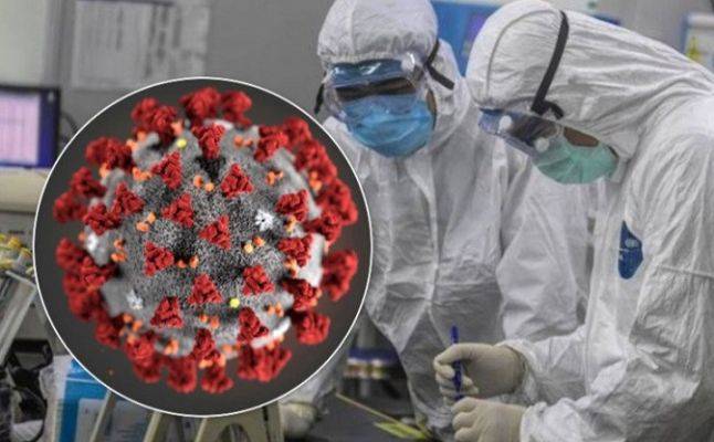 Китайские медики обнаружили, что коронавирус «вырождается» в простой грипп