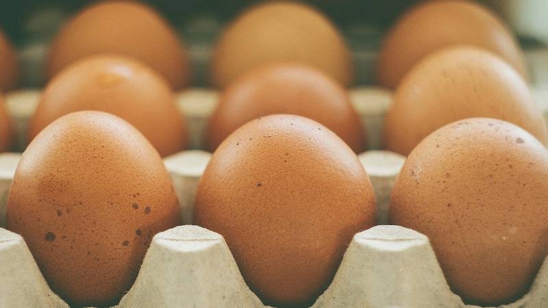 Ученые выяснили, сколько яиц в день полезно съедать человеку