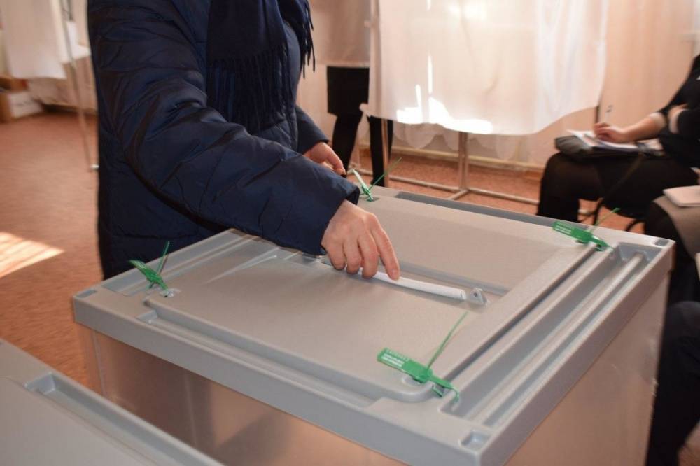 Все десять кандидатов в Новгородскую областную думу прошли регистрацию на довыборы