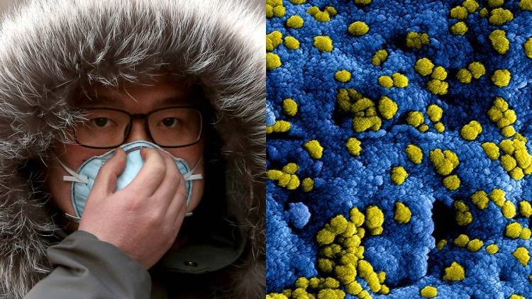 Депутат из Италии Зингаретти заболел коронавирусом