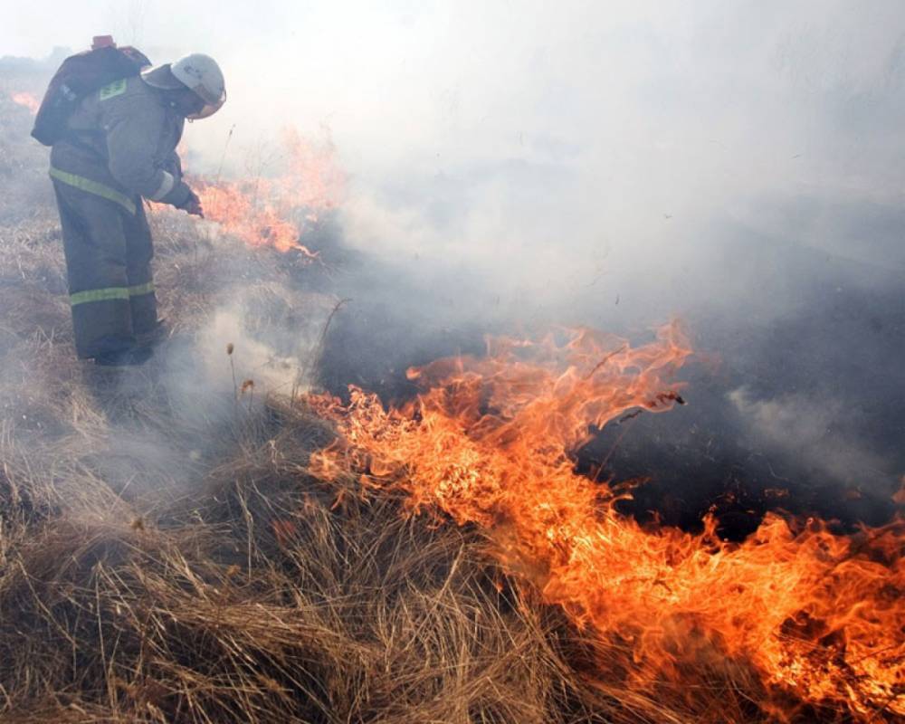 В Калининградской области пожарные четыре раза за сутки тушили сухую траву