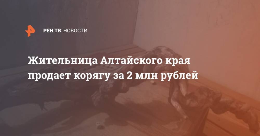 Жительница Алтайского края продает корягу за 2 млн рублей