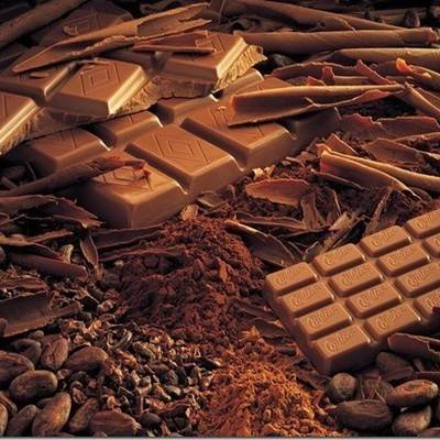Правительство Ярославской области призвало жителей региона поддержать пострадавшую от пожара шоколадную фабрику