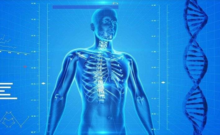 The Scientist (США): новые открытия в анатомии человека