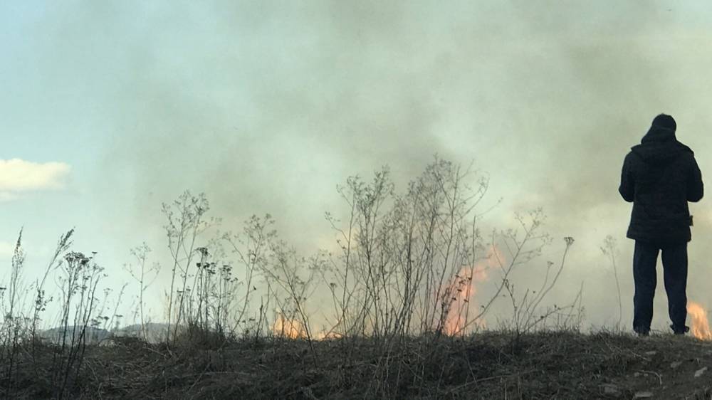 В ЛНР ликвидировали 46 природных пожаров за минувшие сутки