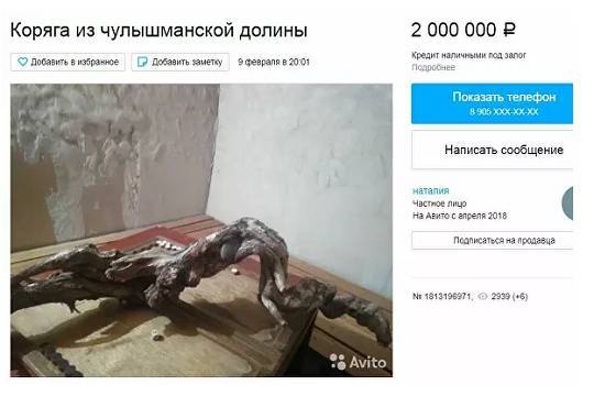 На Алтае выложили на продажу «уникальную» корягу за 2 млн рублей