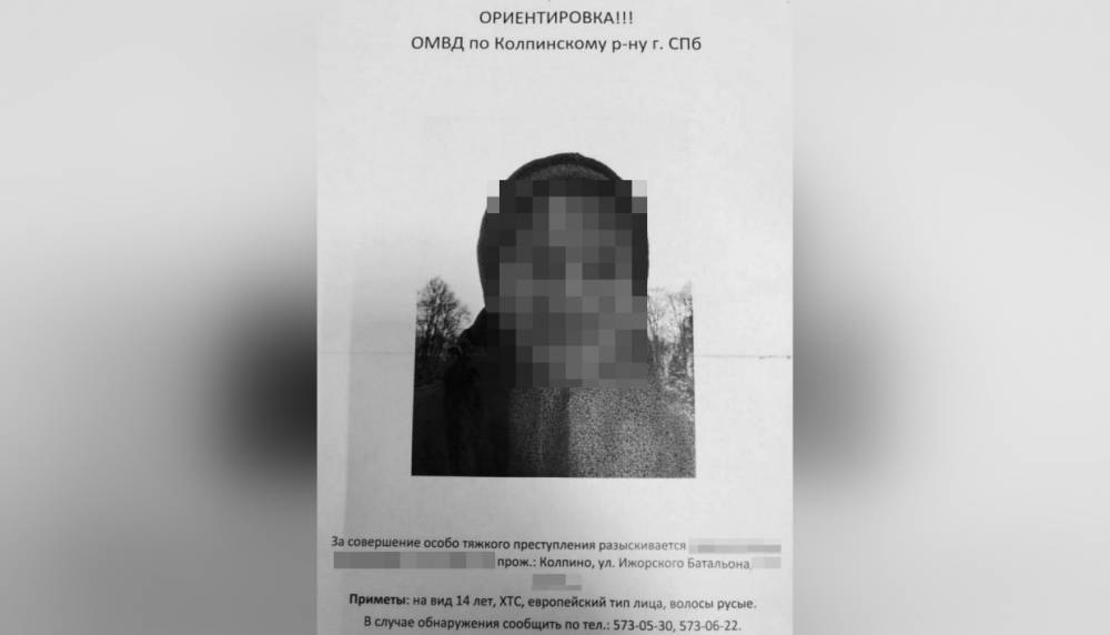 В Пушкине поймали подростка, застрелившего своего друга в Колпино