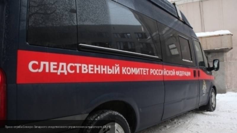 Мать убитого в Петербурге подростка уверена, что сын погиб в результате несчастного случая