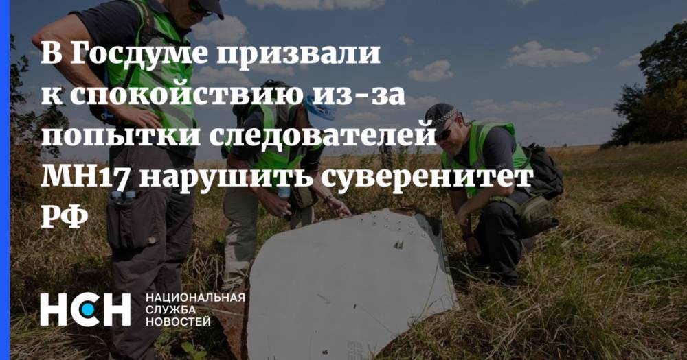 В Госдуме призвали к спокойствию из-за попытки следователей MH17 нарушить суверенитет РФ
