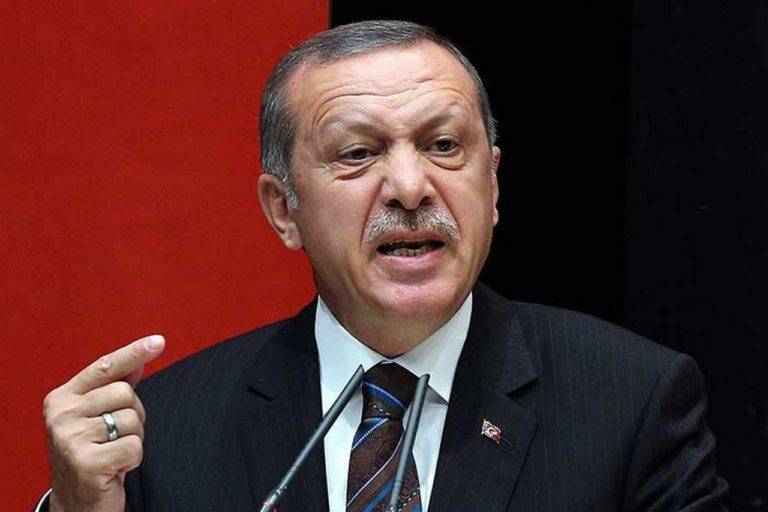 Эрдоган заявил о праве Турции на самостоятельные действия в Сирии