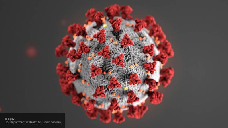 Власти Германии подтвердили 900 случаев заражения коронавирусом