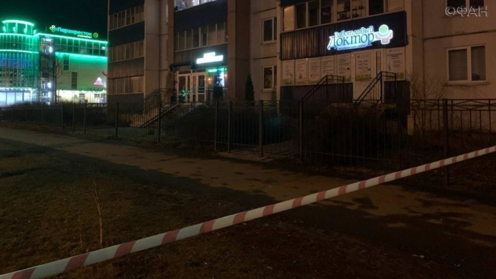 Подробности убийства подростка в Колпинском районе Петербурга появились в СМИ