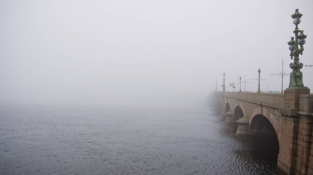 Жителей Ленобласти предупредили о тумане и сильном ветре 9 марта