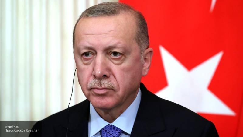 Эрдоган заявил, что Турция не собирается аннексировать сирийскую территорию