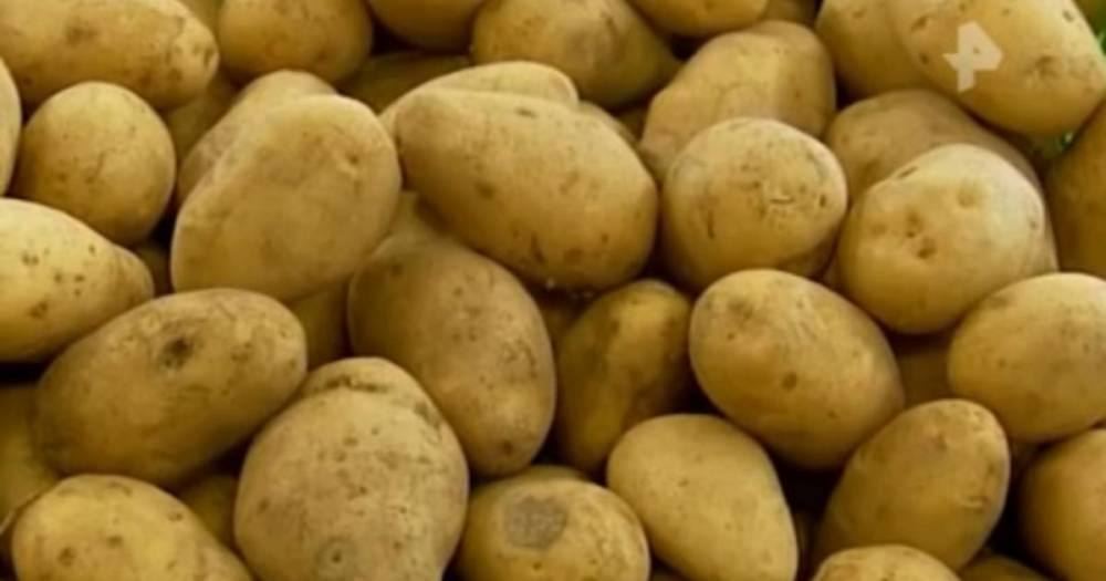 Употребление картофельного сока признали полезным для здоровья