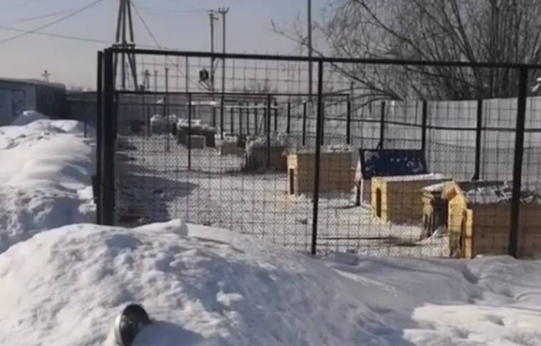 Госдума РФ отреагировала на массовое убийство животных в Якутске