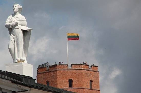 В Литве появилась новая партия «Национальное объединение»