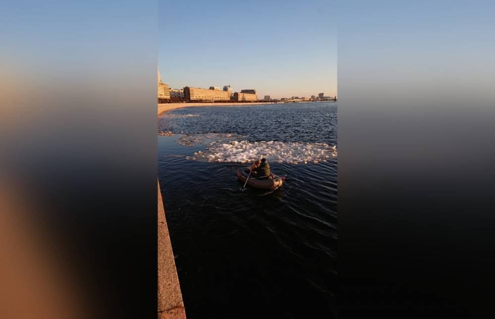 На Свердловской набережной спасают маленьких нерпят
