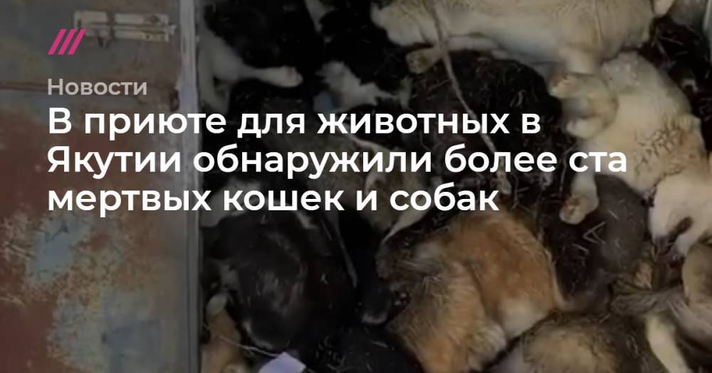 В приюте для животных в Якутии обнаружили более ста мертвых кошек и собак
