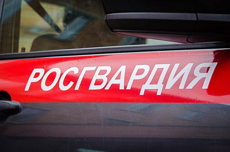 Росгвардия не выявила серьезных нарушений на матче «Спартак» — «Краснодар»