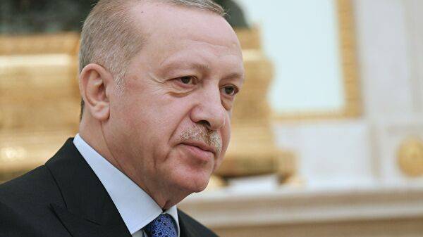Эрдоган заявил об отсутствии планов аннексировать сирийскую территорию
