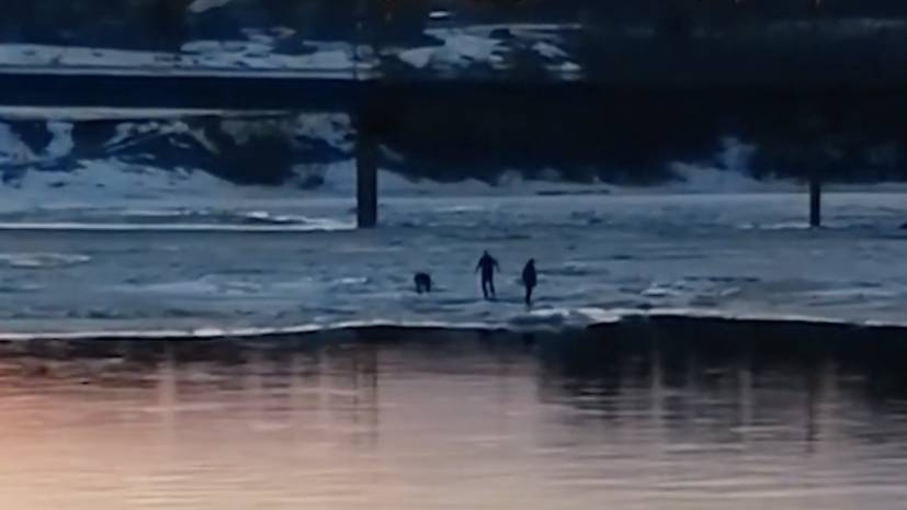 В Вологодской области полицейские спасли подростка с отколовшейся льдины