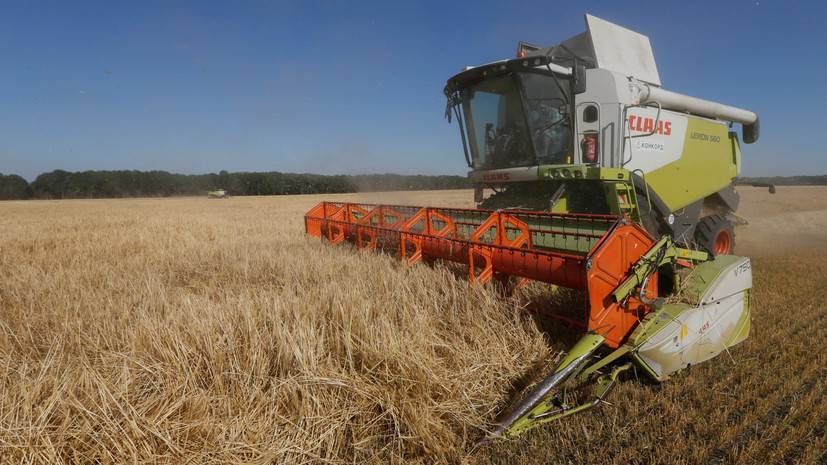 «Никто не хочет дефолта»: к чему может привести открытие рынка сельхозугодий на Украине