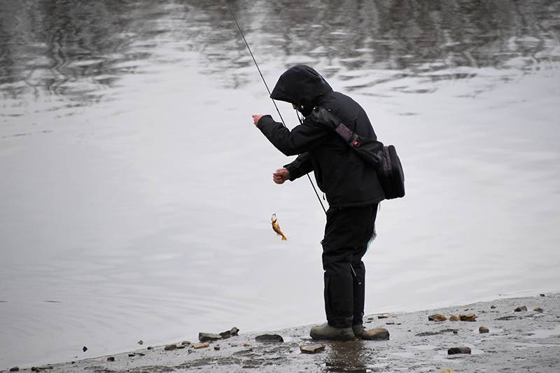 В России предложили запретить любительскую рыбалку из-за коронавируса