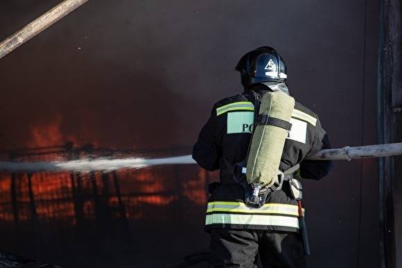 В Челябинской области начались первые природные пожары