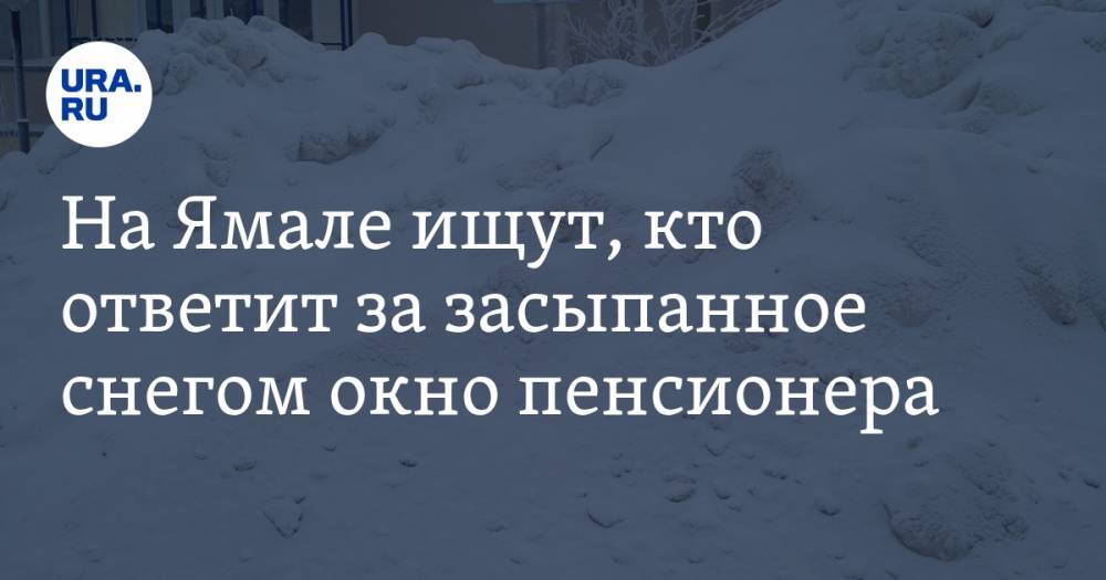 На Ямале ищут, кто ответит за засыпанное снегом окно пенсионера
