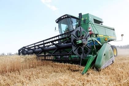 Согласован проект постановления о временной квоте на экспорт зерна в России