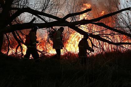 Российские спасатели нашли нелегальный склад боеприпасов при тушении пожара