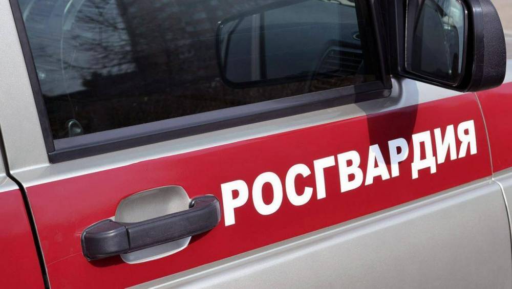 Росгвардейцы помогли потушить загоревшийся автомобиль в Москве
