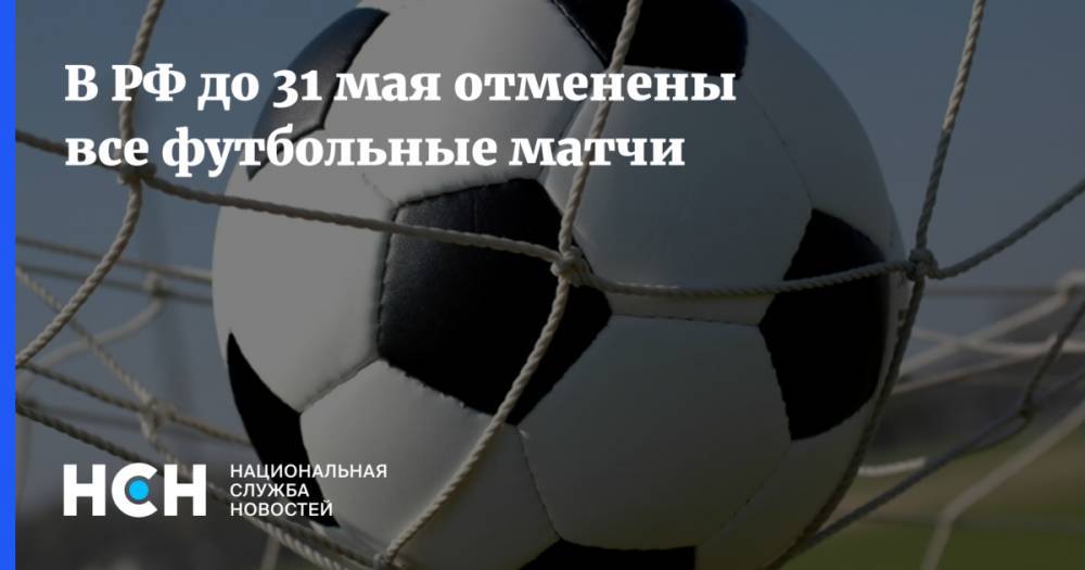 В РФ до 31 мая отменены все футбольные матчи