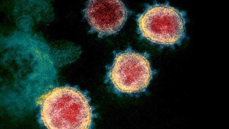 Противомалярийные препараты для борьбы с коронавирусом: за и против