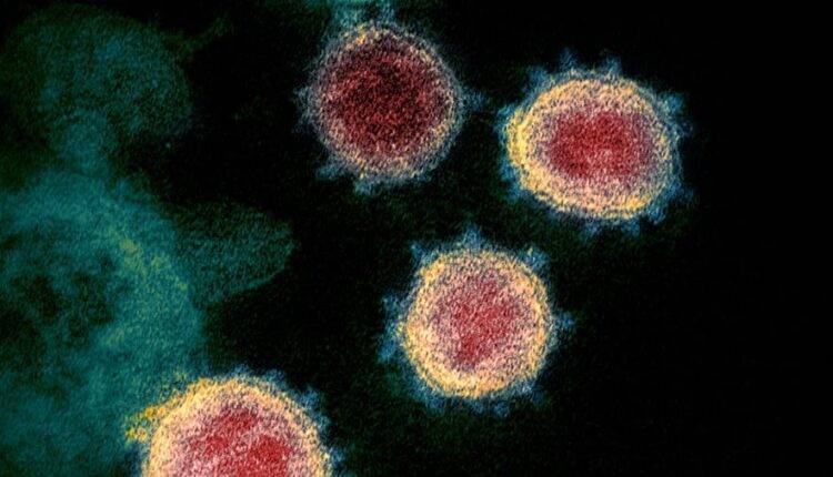 Вирусолог РАН рассказал о вызываемых коронавирусом последствиях