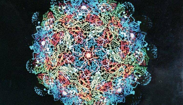 У гигантских вирусов обнаружили свойства клеточной жизни
