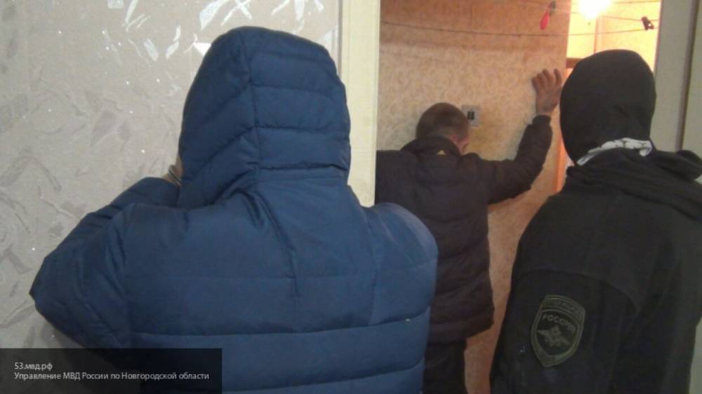Полиция пресекла деятельность нарколаборатории в Подмосковье