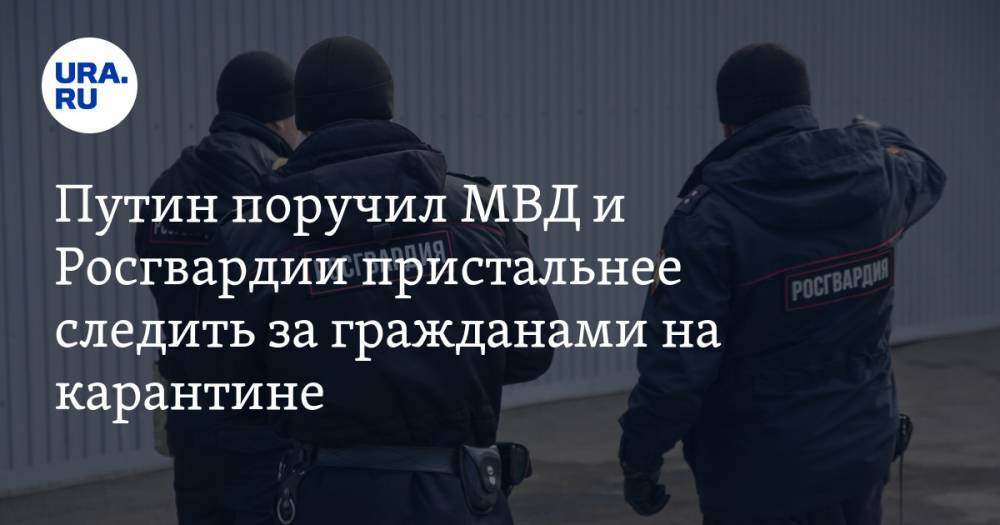 Путин поручил МВД и Росгвардии пристальнее следить за гражданами на карантине
