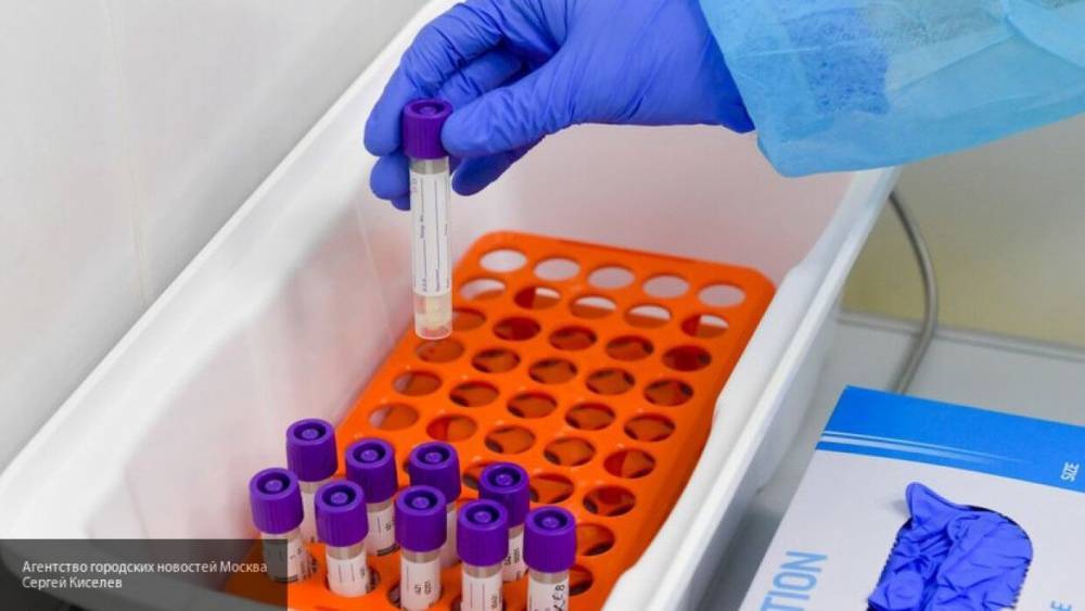 Трое жителей Подмосковья задержаны за продажу фальшивых тестов на коронавирус