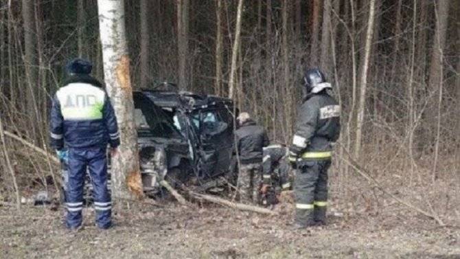 На Приморском шоссе иномарка врезалась в дерево – погиб человек