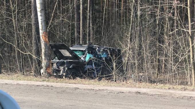 Столкновение с деревом на Приморском шоссе унесло жизнь водителя "Гелендвагена"