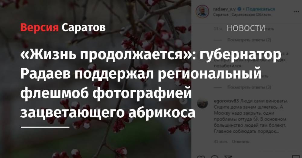«Жизнь продолжается»: губернатор Радаев поддержал региональный флешмоб фотографией зацветающего абрикоса