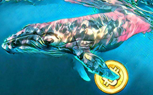 Glassnode: Крипто-киты накапливают биткоины