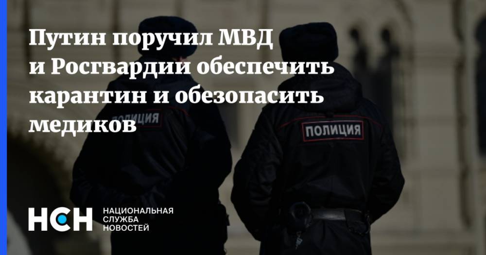 Путин поручил МВД и Росгвардии обеспечить карантин и обезопасить медиков