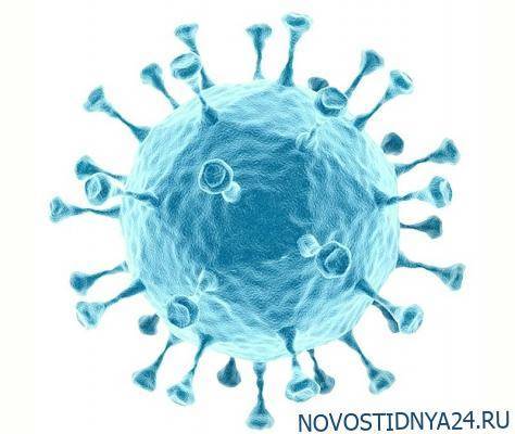 В Южной Корее зафиксировали около сотни повторных заражений коронавирусом