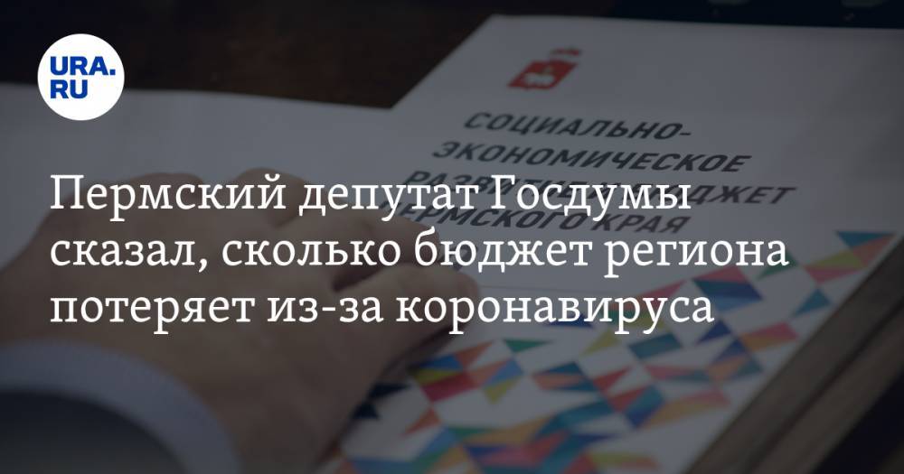 Пермский депутат Госдумы сказал, сколько бюджет региона потеряет из-за коронавируса