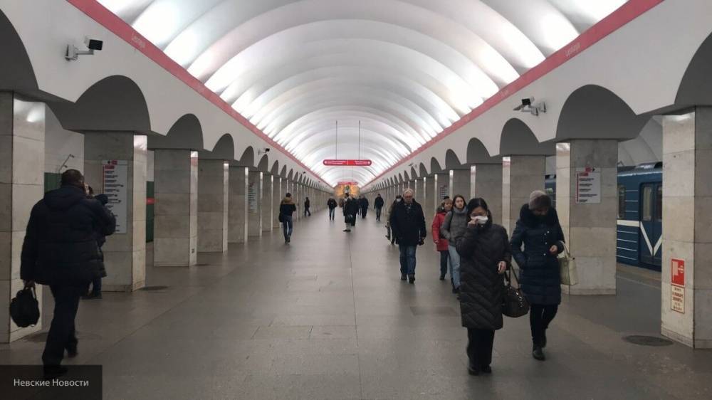 Житель Подмосковья украл в метро более полусотни светильников для дачи