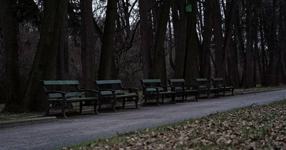 Москвич спас жену от изнасилования в парке